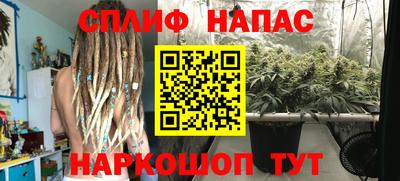 прущие грибы Изобильный