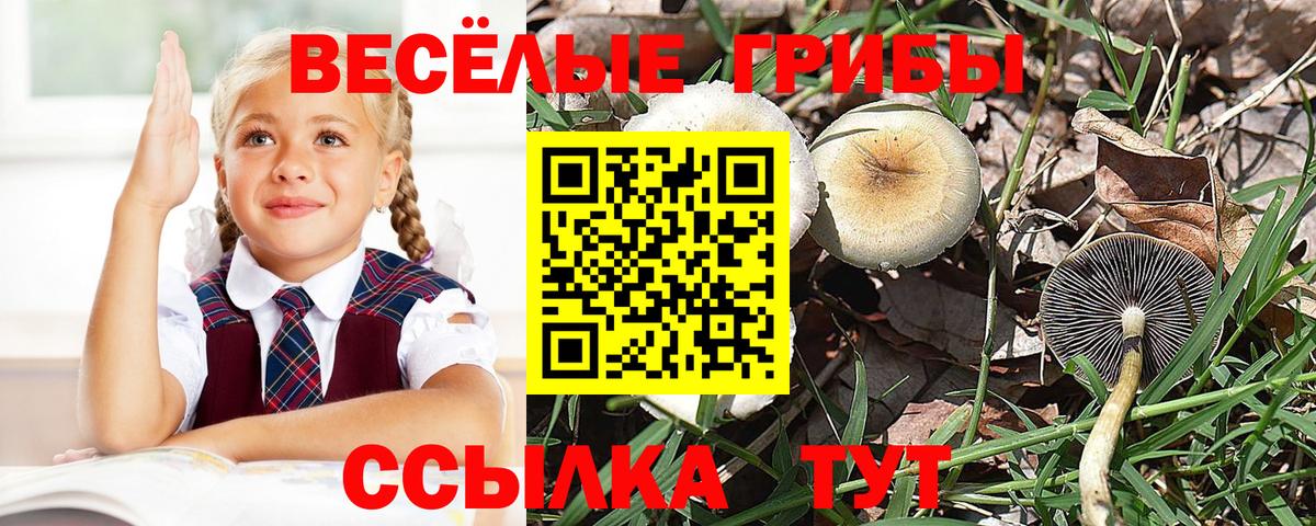 Кыштым  Псилоцибиновые грибы Psilocybine cubensis  Вход с VPN  Псилоцибиновые грибы мухоморы 